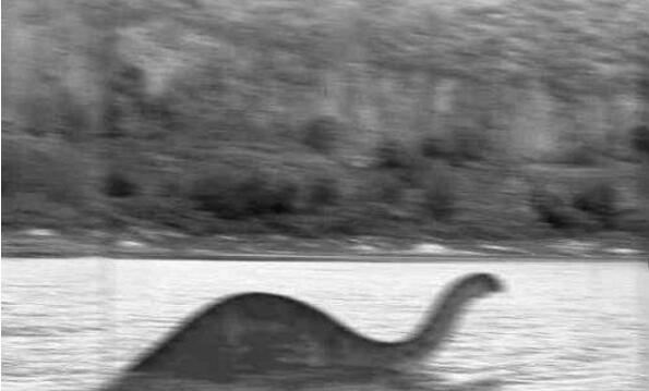 世界十大水怪排行榜,尼斯湖水怪之谜真相竟是大象伪装