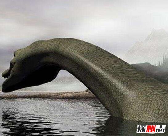 揭秘加拿大水怪奥古布古真相，实则一条巨大的海蛇