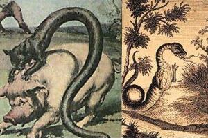 神秘魔兽塔佐蠕虫，猫与蛇的结合体(能释放致命毒气)