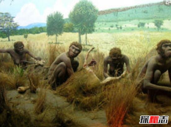 最古老的人类头发，鬣狗粪便中现20万年前头发(粗如钢管)