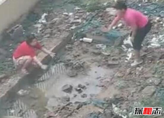 北京男女水坑虐猫事件，多次举起猫往水坑里摔(残忍至极)