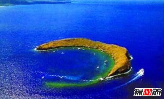 世界上最恐怖的岛屿，太平洋哭岛(无论昼夜都传来哭声)