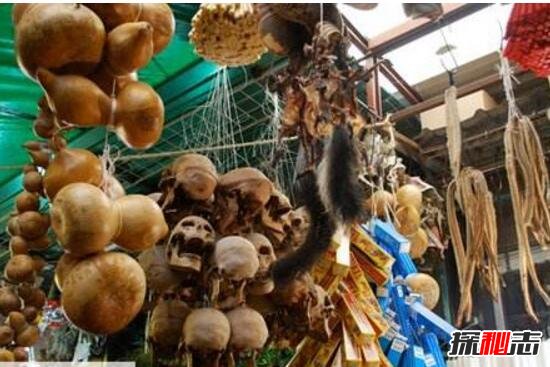 恐怖的墨西哥索诺拉州魔法市场，满城的腐尸(巫术聚集地)