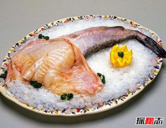 世界上最丑的鱼，鮟鱇鱼很丑但是很美味(内脏可壮阳)