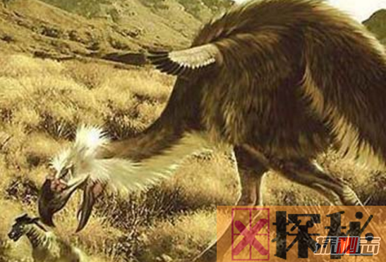史上最凶残鸟巨型恐怖鸟，高3米重200斤(巨爪可踩死人)