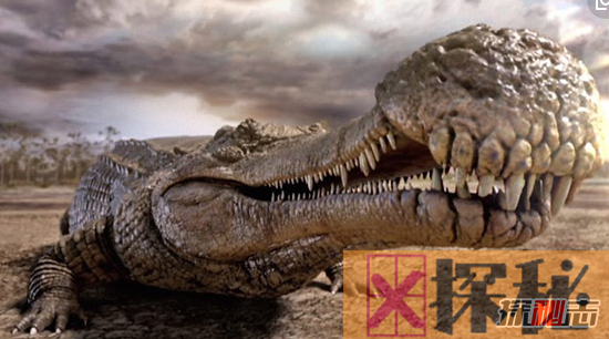 古代淡水帝王帝鳄，嘴巴巨大一口吞掉恐龙(13米/11吨)
