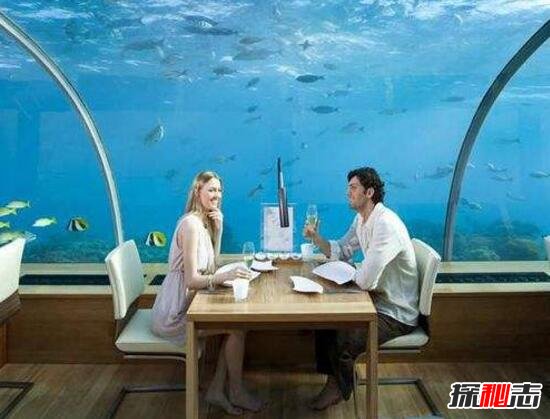 全球首个十星级酒店，迪拜海底酒店(60英尺海中/4万一晚)