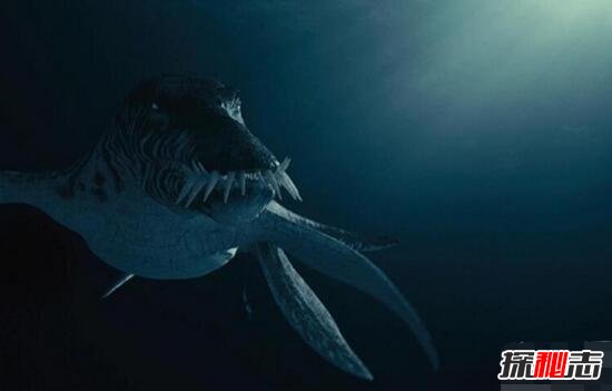 最恐怖的海洋生物滑齿龙，靠敏锐嗅觉捕杀猎物(善于突袭)