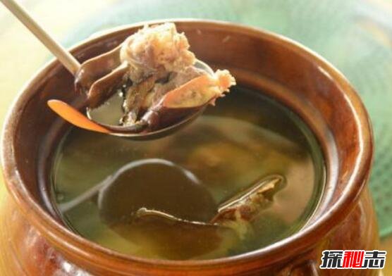 中华鲎又叫做马蹄蟹，含有剧毒但药用价值高(国家二级保护)
