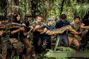 盘点世界上最大的蛇，古墓挖出千年巨蛇长20米重达400斤