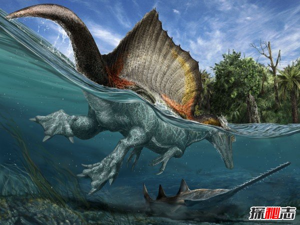 水中最强的恐龙排行榜,沧龙水中霸主无敌