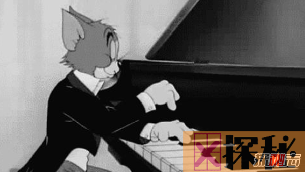 什么人不适合学钢琴?十种不适合学钢琴的人