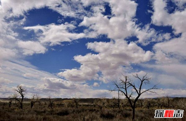 美国最大的盆地：美国大盆地干燥降水少