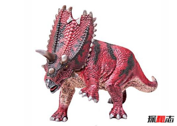 五大头上长角恐龙 第一食肉型巨兽你都见过吗