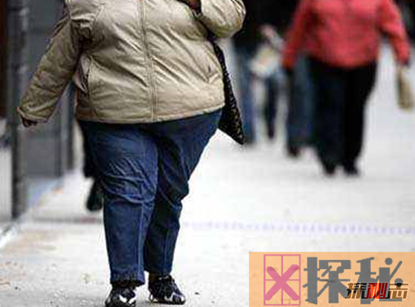 肥胖是什么原因引起的?肥胖给人带来的十大危害