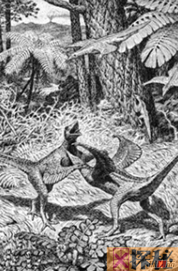 恐龙其实没有灭绝?关于恐龙的10大惊人真相揭秘