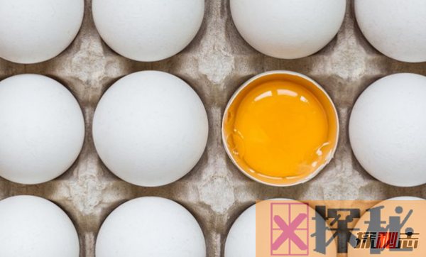 世界上吃鸡蛋最多的国家 第1生吃,第2当零食吃