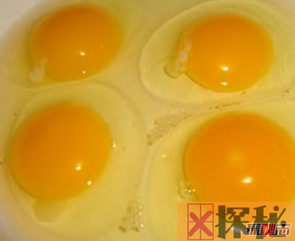 鸡蛋最多有几个黄?史上最多蛋黄的鸡蛋