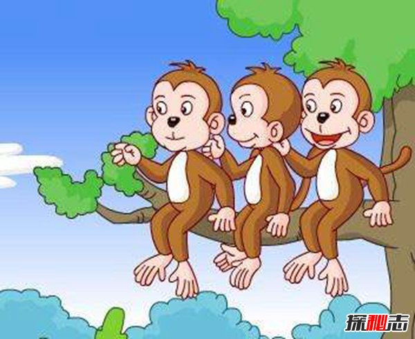 五只猴子道德起源启示 湿猴定律说明什么
