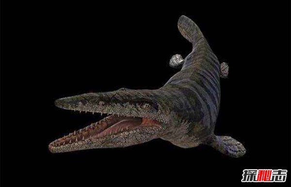 史前恐怖生物：虾蟆螈（身长5米以恐龙为食）