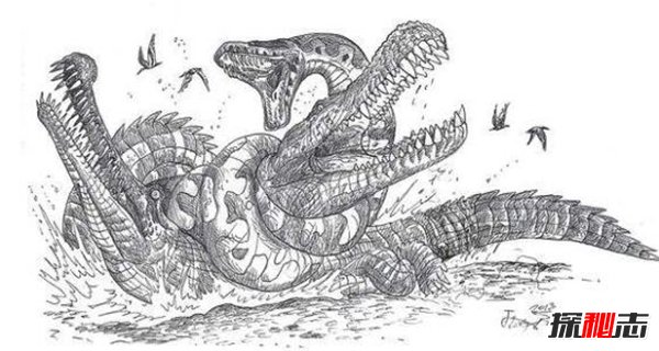 地球最大的鳄鱼普鲁斯鳄 水陆霸主最终灭绝（原因揭秘）