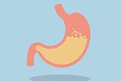 胃液为什么是酸性的?维持肠胃无菌环境(激活蛋白酶)