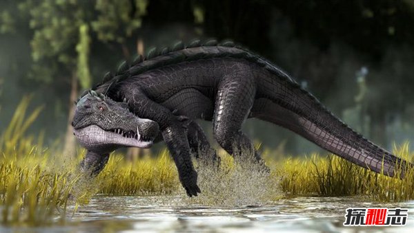 史前恐怖巨兽 吃恐龙的鳄鱼猪鳄（立体视觉）