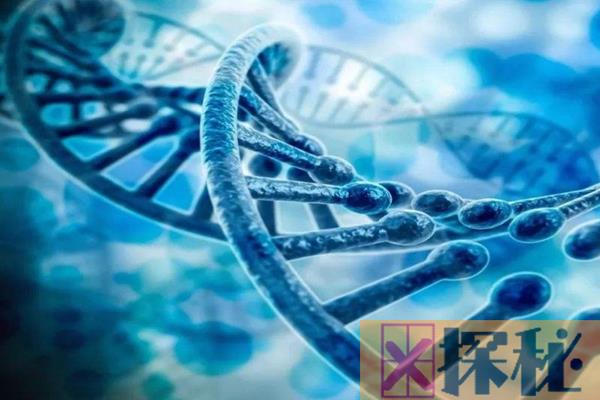 2029年人类活到300岁，血液纳米机器人将阻止DNA异变