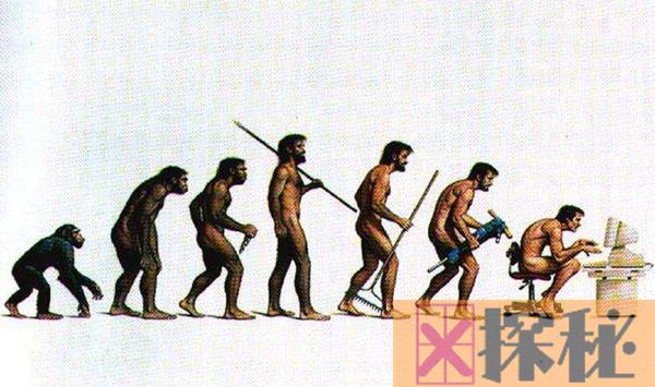 进化论误导了整个人类 人类进化是骗局吗