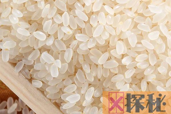 粳米是什么米?常见的东北大米，煮粥最补(孕妇也能吃)