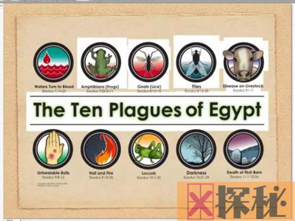 埃及十灾是真实的吗?埃及十灾该如何科学解读