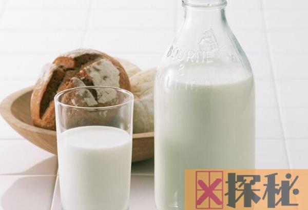 脱脂牛奶可以减肥吗?什么牛奶适合减肥