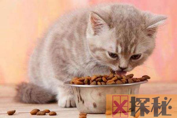 人可以吃猫粮吗?人吃了猫粮会有事吗（比较难吃）