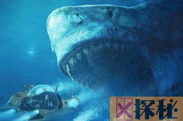 巨齿鲨的天敌是谁 它曾是名副其实的海洋领主