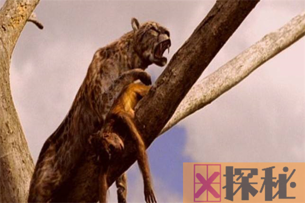 恐猫真的以人类为食吗 狒狒和南方古猿是它们的猎物