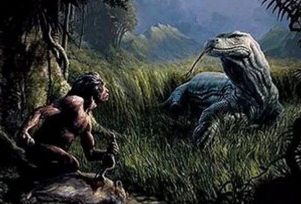 澳洲魔龙灭绝之谜，4万年前被人类杀光（世界最大蜥蜴）