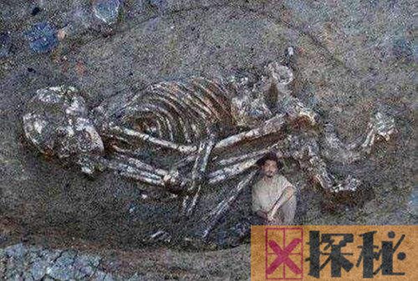 地球各地都发现巨型人骨 是否证明历史上曾有巨人族