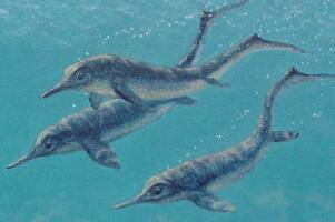 海豚的祖宗鱼龙，白垩纪最强水生食肉动物（身长达23米）