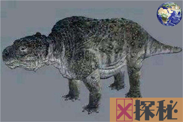 乌龟的祖先是远古爬行动物，体型庞大却以草为食(达6吨)