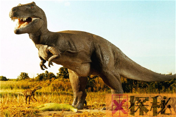 恐龙的祖先是谁？