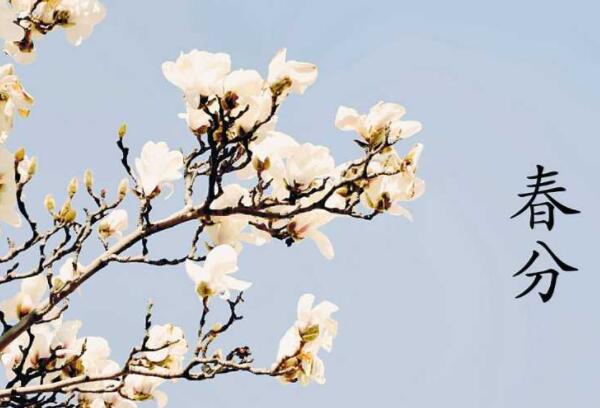 春分节气的含义是什么，春季已过一半（每年的3月20号左右）