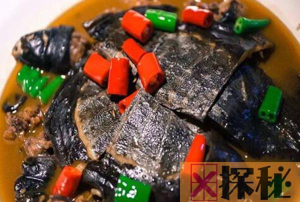 甲鱼属于什么类动物 它是龟鳖软壳水生龟的统称