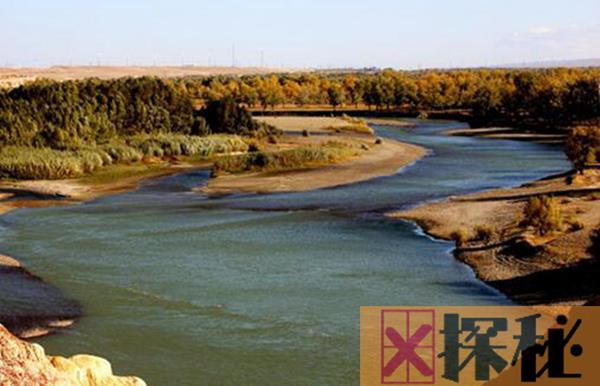 额尔齐斯河的源头在哪里 它是新疆和哈萨克斯的重要河流