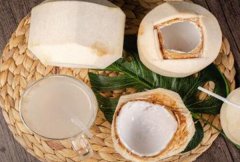 泰国香椰危害有哪些 泰国香椰和普通椰子的区别