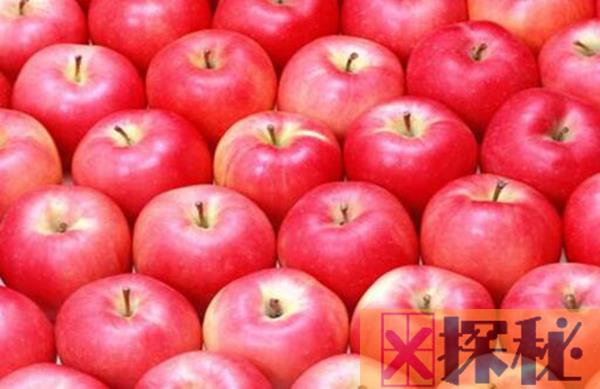 苹果心烂了还能吃吗 有很多细菌影响身体健康（不能吃）