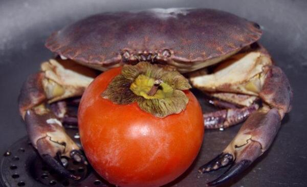 大闸蟹和柿子一起吃吗，不能一起吃（容易出现腹痛）