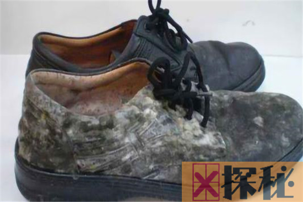 皮鞋发霉了怎么清洗 保养皮鞋的方法有哪些