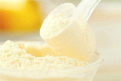 老人能吃乳清蛋白粉吗 乳清蛋白粉对身体有哪些好处