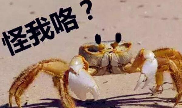 螃蟹和豆浆能同时吃吗，不能同食/引起肠胃不适或中毒