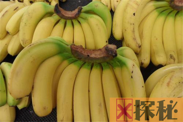 香蕉豆浆能一起吃吗 香蕉和豆浆一起吃的功效有哪些